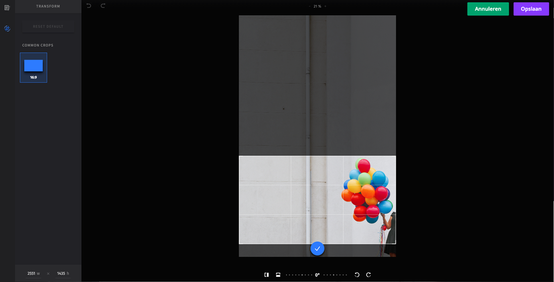 Foto Uitsnijden In Butlertv